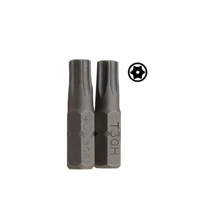 Bit 1/4" - s otvorom TRX 6