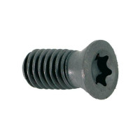 Skrutka M5x12 TRX